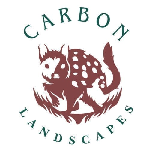Carbon Landscapes