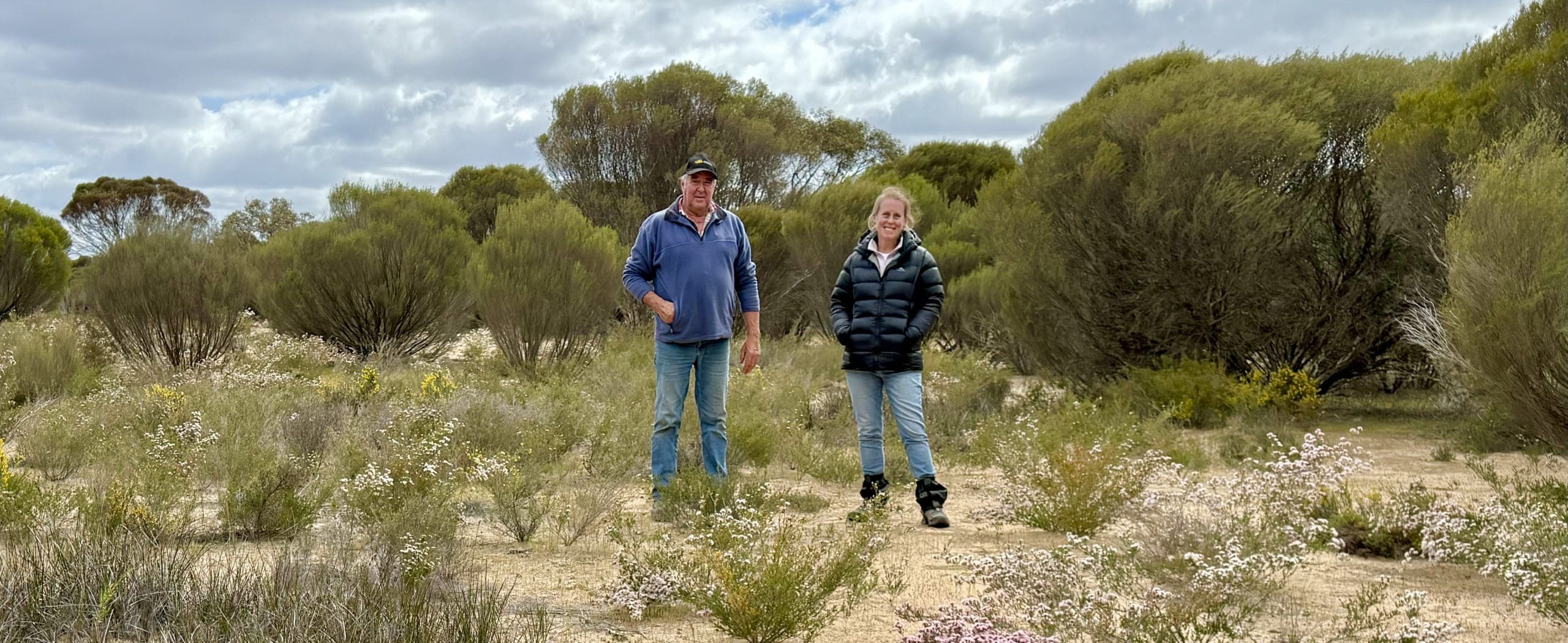 Featured image for “Spring at Telopea Downs”